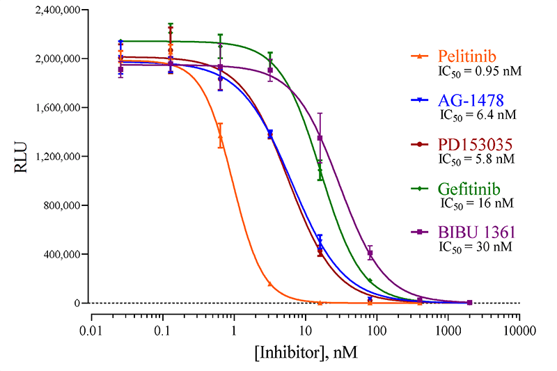 Indigo-EGFR1-Assay