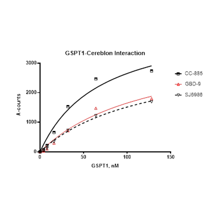 Molecular Glue/PROTAC Optimization Kit for GSPT1