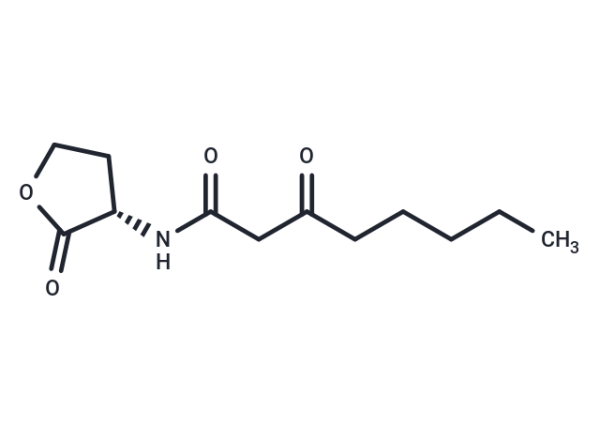 N-3-Oxo-octanoyl-L-homoserine lactone