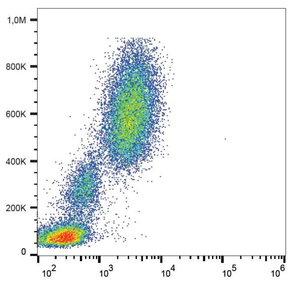 Anti-CD10 / CALLA, clone MEM-78 (PerCP)