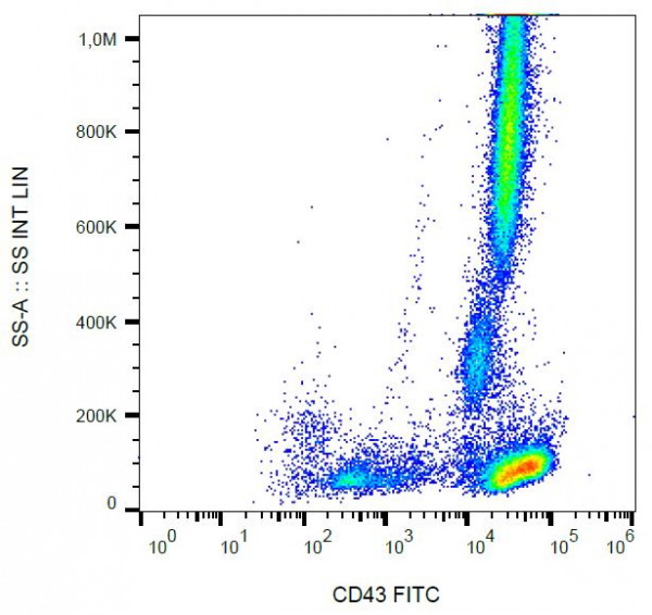Anti-CD43, clone MEM-59 (FITC)