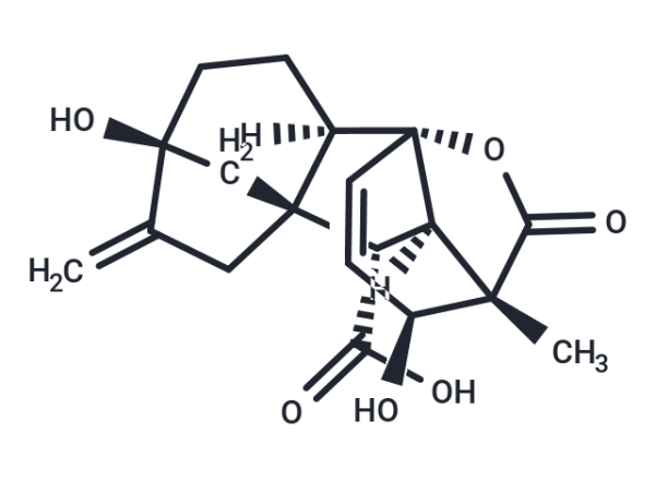 Gibberellic acid