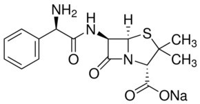Ampicillin Solution 50mg/ml (6-[D-(-)-alpha-Aminophenylacetamido]-penicillanic acid)