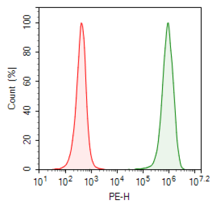 PD-L2 / TCR activator - CHO Recombinant Cell Line