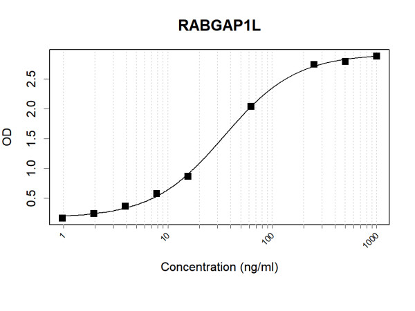 Anti-Human RABGAP1L Antibody Pair
