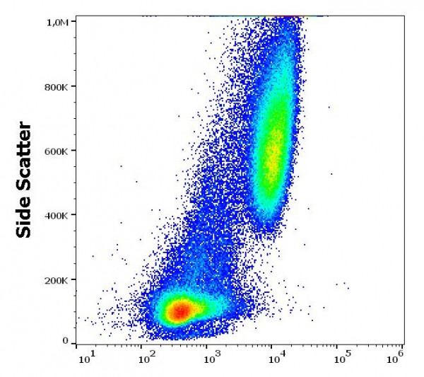 Anti-CD206 / MMR (low endotoxin), clone 15-2