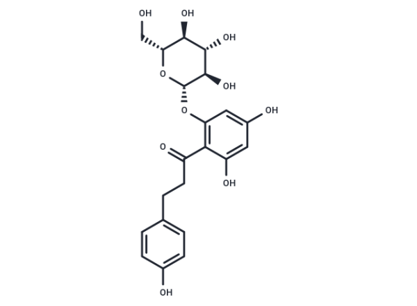 Phlorizin
