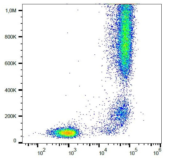 Anti-CD13 / Aminopeptidase N, clone WM15 (biotin)