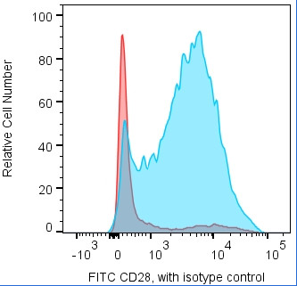 Anti-CD28