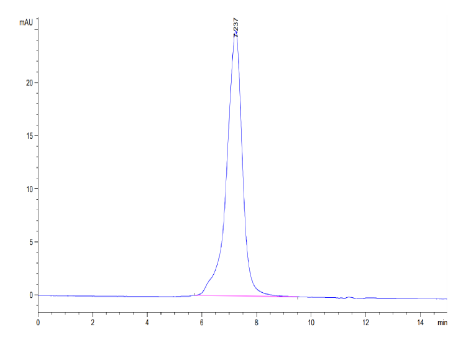 Kremen-1 hFc Chimera, Human