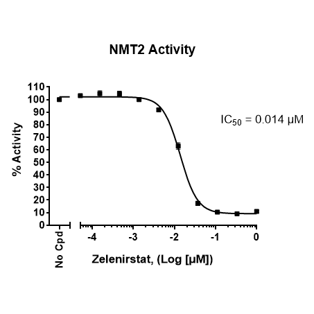 NMT2 Fluorogenic Assay Kit