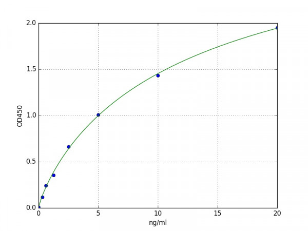 Human Ubiquitin-conjugating enzyme E2 A / UBE2A ELISA Kit