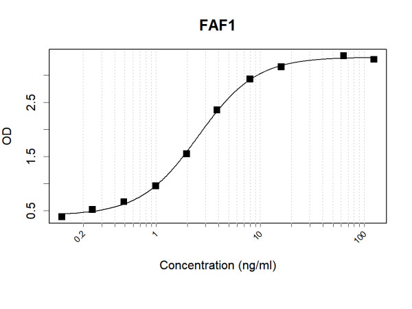 Anti-Human FAF1 Antibody Pair
