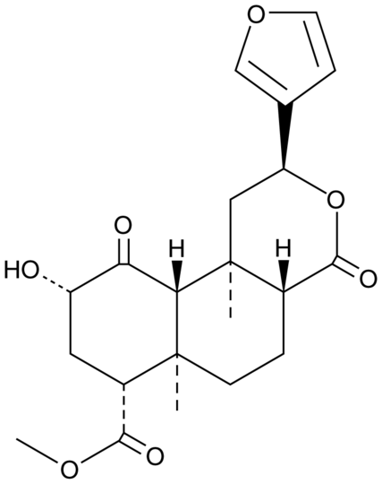Salvinorin B
