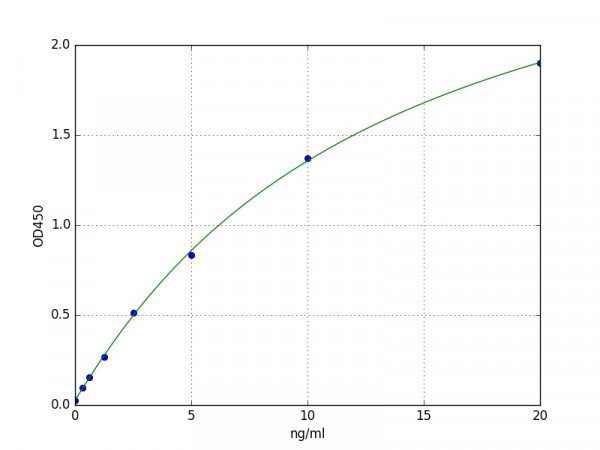 Human BLVRA / Biliverdin reductase A ELISA Kit
