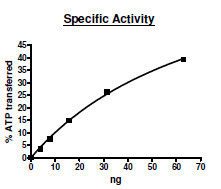 BRAF (V600E), human recombinant protein (GST-His-Tag)