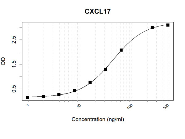 Anti-Human CXCL17 Antibody Pair