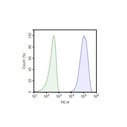 Membrane-Bound TNFalpha Jurkat Cell Line