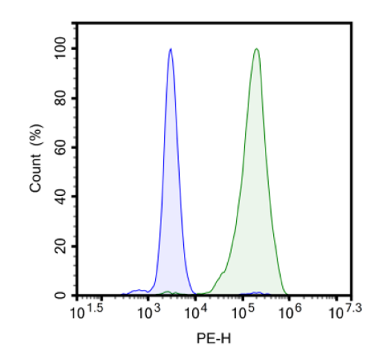 StemBright(TM) Luciferase iPS Cell Pool