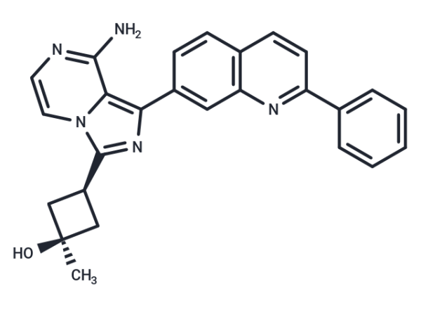 Linsitinib