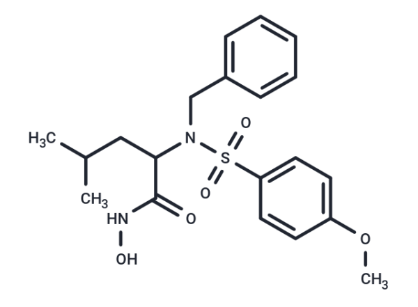 MMP-3 Inhibitor VIII