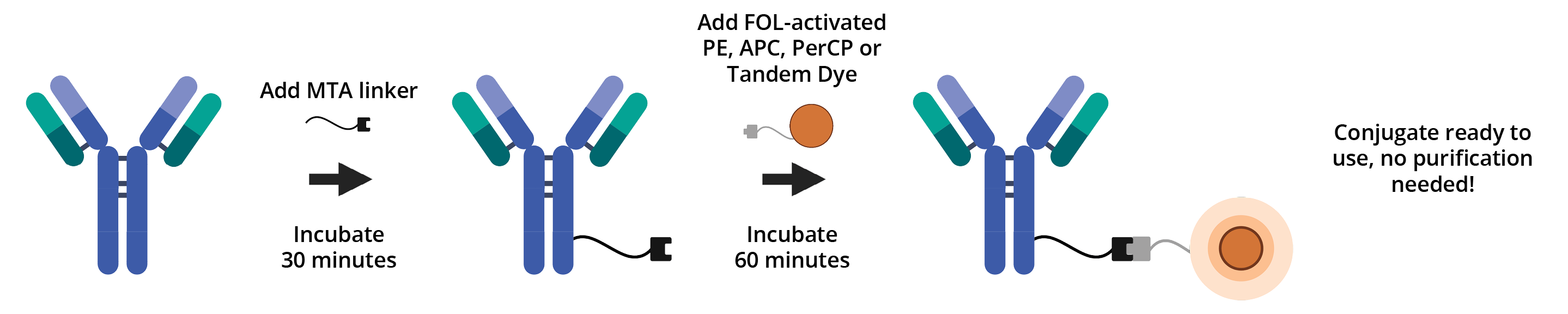 BuccutitePE_Workflow