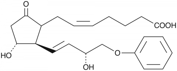 16-phenoxy tetranor Prostaglandin E2