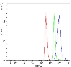 Anti-Tip60 / 60 kDa Tat-interactive protein / KAT5