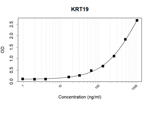 Anti-Human Cytokeratin-19 Antibody Pair