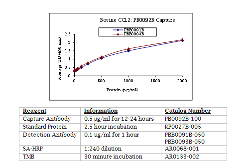 Anti-CCL2 (bovine)