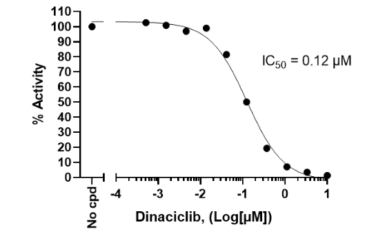 Chemi-Verse(TM) CDK16/Cyclin Y Kinase Assay Kit