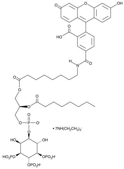 PtdIns-(3,4,5)-P3-fluorescein (triethylammonium salt)