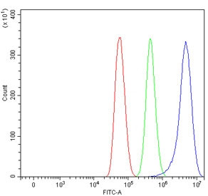 Anti-SCAMP1 / Secretory carrier-associated membrane protein 1