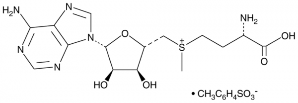 S-(5&#039;-Adenosyl)-L-methionine (tosylate)