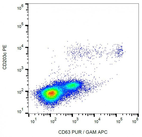 Anti-CD63, clone MEM-259 (APC)