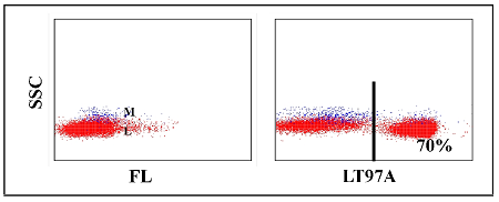 Anti-pan T-cell (llama) (clone LT97A)