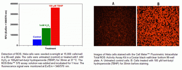 Cell Meter(TM) Fluorimetric Intracellular Total ROS Activity Assay Kit*Orange Fluorescence*