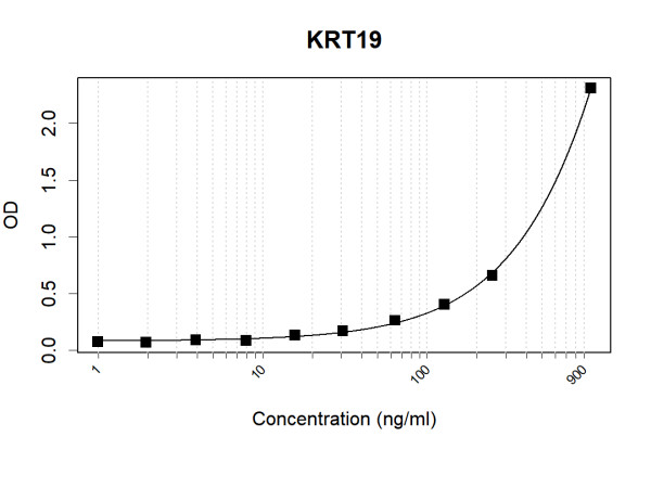 Anti-Human Cytokeratin-19 Antibody Pair