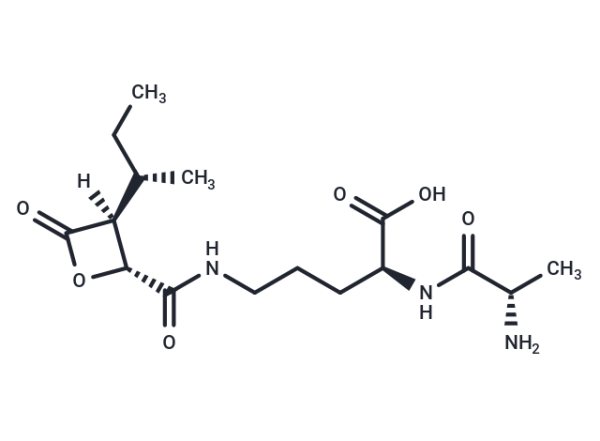 Belactosin C