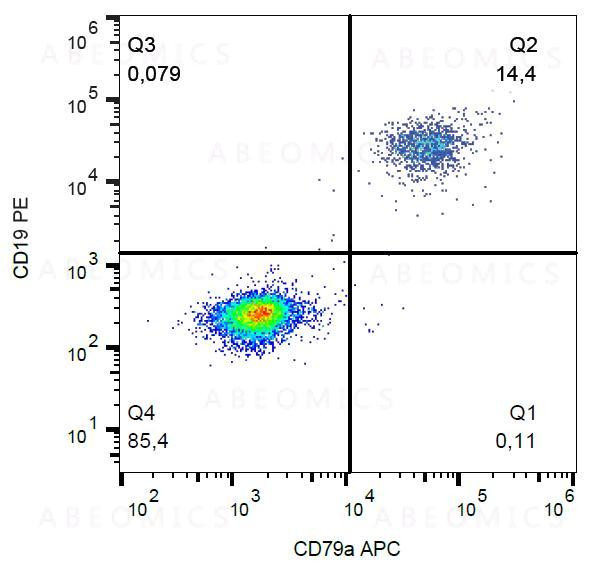 Anti-CD79a Monoclonal Antibody (Clone:HM57)-APC Conjugated