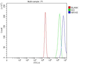 Anti-NR1H3 / Oxysterols receptor LXR-alpha
