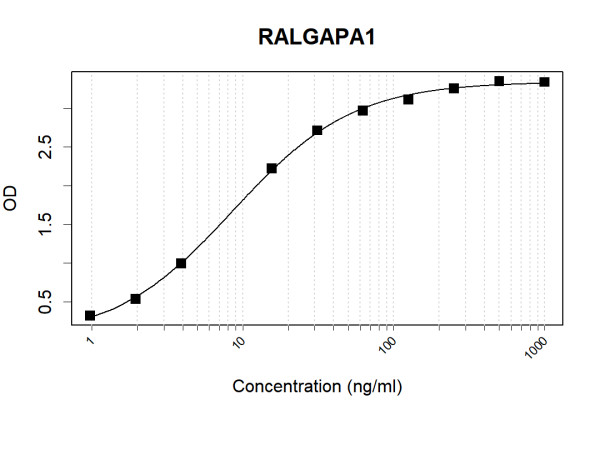 Anti-Human RALGAPA1 Antibody Pair