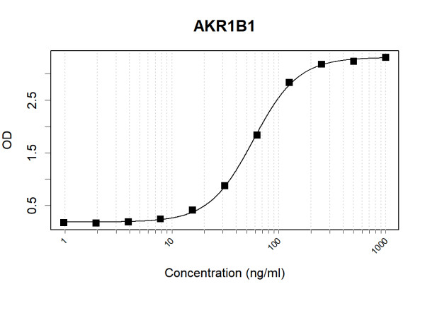 Anti-Human AKR1B1 Antibody Pair