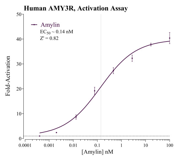 AMY3R Reporter Assay System (human)