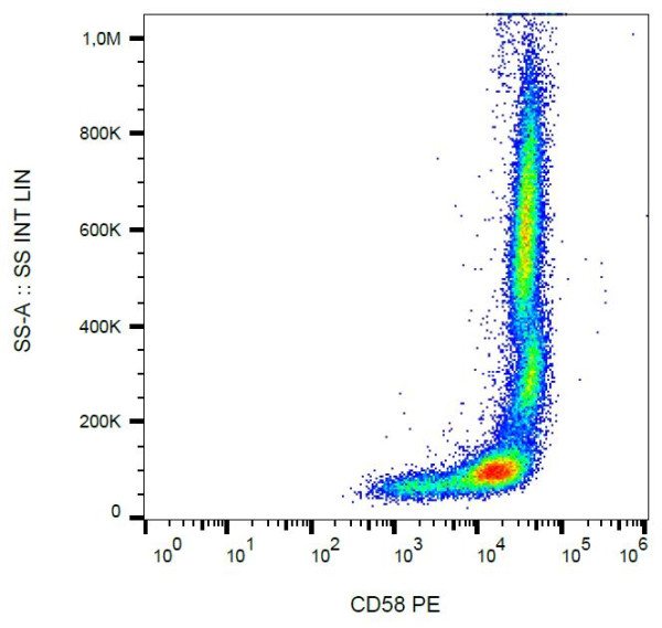 Anti-CD58, clone MEM-63 (PE)