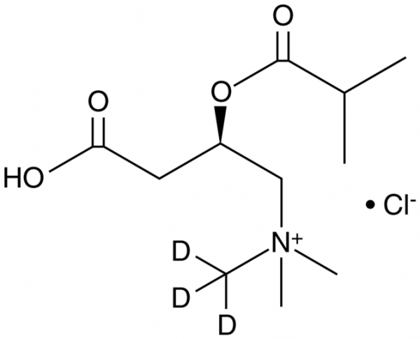 Isobutyryl-L-carnitine-d3 (chloride)