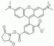 6-TAMRA, SE (6-Carboxytetramethylrhodamine, succinimidyl ester) *Validated for labeling oligos*