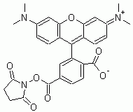 6-TAMRA, SE (6-Carboxytetramethylrhodamine, succinimidyl ester) *Single isomer*
