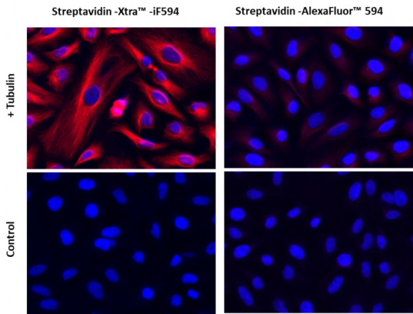 Streptavidin-Xtra(TM) IF594