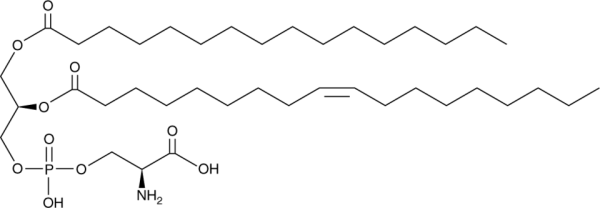 1-Palmitoyl-2-oleoyl-sn-glycero-3-phosphoserine